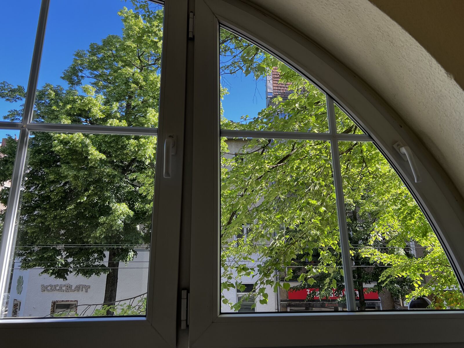 Blick aus einem Rundbogenfenster der Praxis auf die Bäume der Langhansstraße
